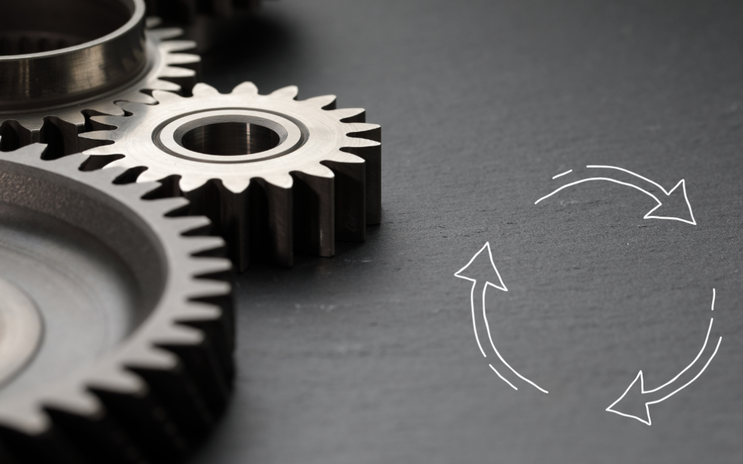 D5.5 OPPORTUNITIES FOR OTHER INDUSTRIAL SYMBIOTIC SYSTEMS